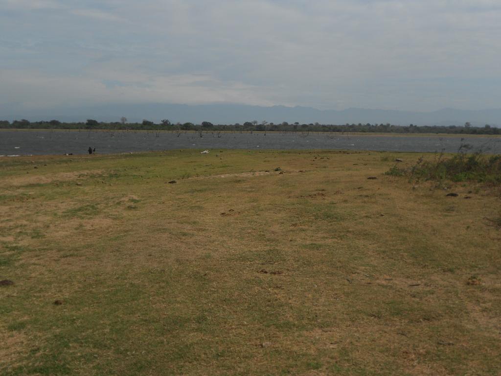 Splendid Lake View Safari Lodge Udawalawe Exterior foto